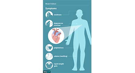 BNP و NT-ProBNP چیست و چه نقشی در ناامید قلبی دارند.